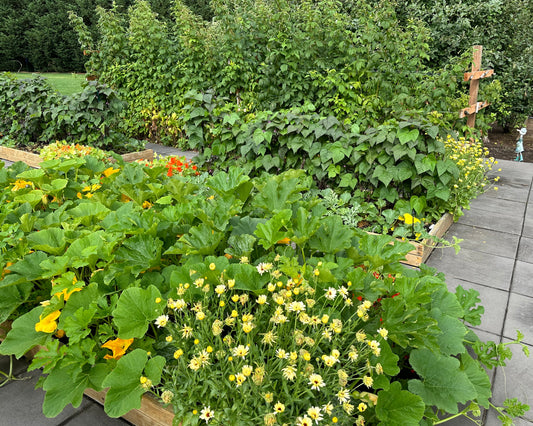 Battle Ground Veggie Garden, Food Forest