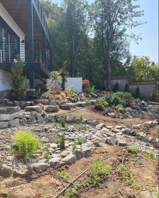 NW Portland Native Garden, Japanese Style Garden