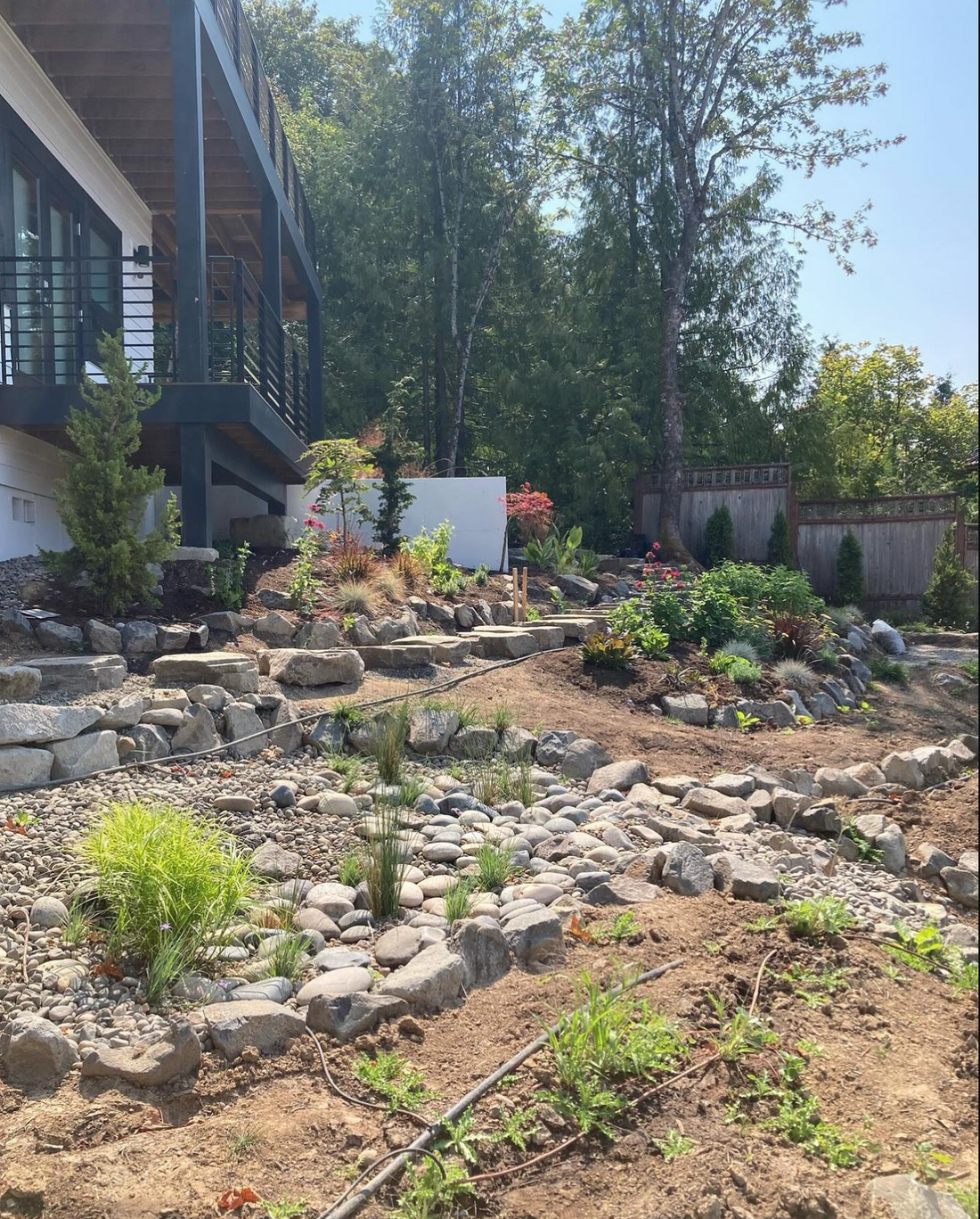NW Portland Native Garden, Japanese Style Garden